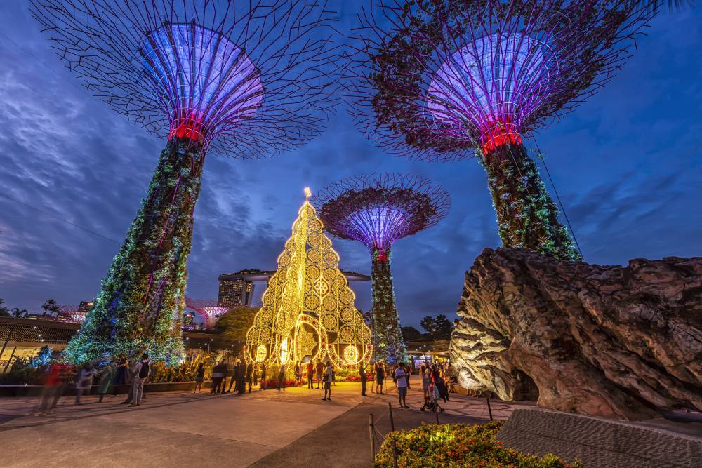 SUPERTREE GROVE in Gardens by the Bay